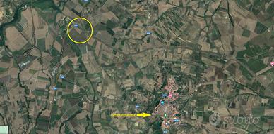 Terreno 11 ettari con acqua e titoli Rif.0852