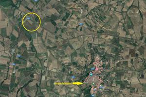 Terreno 11 ettari con acqua e titoli Rif.0852