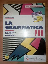 Libro di gramatica per primo biennio superiori