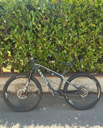 canyon lux cf 6