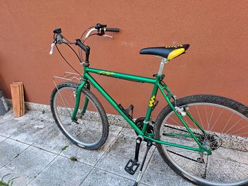 Bicicletta da uomo