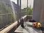 Immagine 22