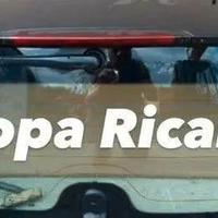 Vetro lunotto posteriore Smart for two modello 453