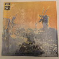 LP 33 giri Pink Floyd "MORE"