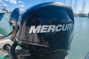 Mercury Verado 150 cv 