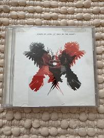 Kings of Leon