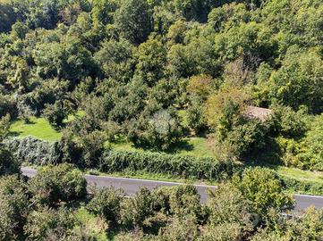 TER. AGRICOLO A VITORCHIANO