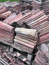 Coppi tegole in OMAGGIO