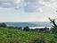 Immagine 25
