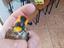 Immagine 1