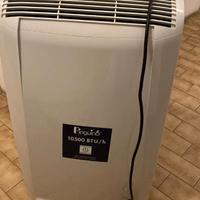 Condizionatore portatile Pinguino De Longhi