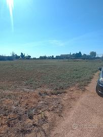 Terreno agricolo 200metri dal paese di Uggiano Mon