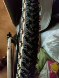 Mountain bike uomo 29