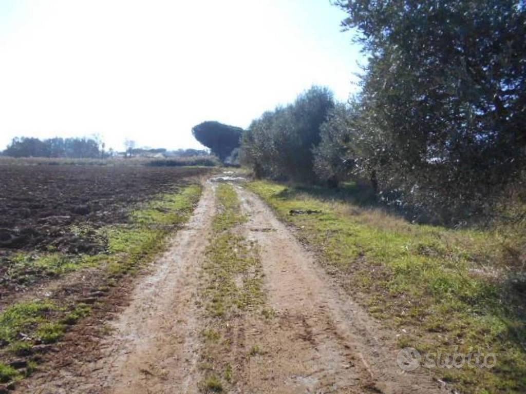 Immobile in asta di 129210 m² a Latina - Vista 4
