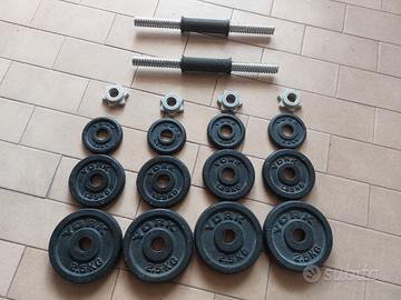 Kit manubri palestra