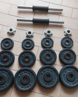 Kit manubri palestra