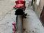 Immagine 1