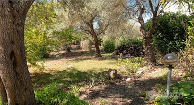 Terreno edificabile Sa Rodia prol. Via Cairoli