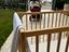 Immagine 6