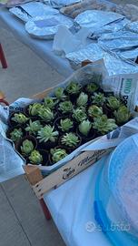 piante grasse e succulente