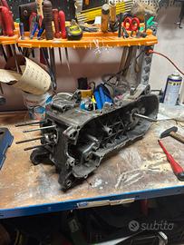 carter piaggio brqccio corto