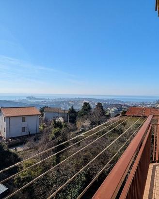 Cattinara con terrazzo