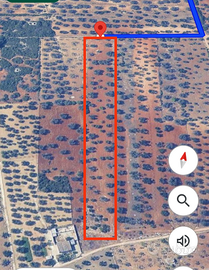 Terreno con Alberi di Ulivo secolari