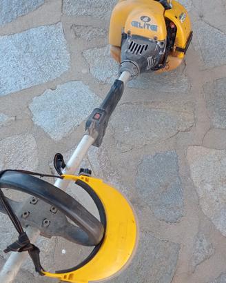 Decespugliatore a motore