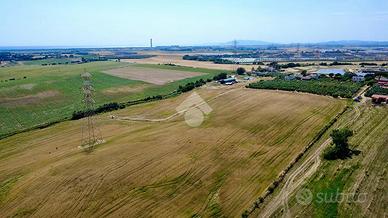 TER. AGRICOLO A MONTALTO DI CASTRO