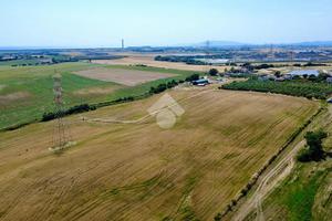 TER. AGRICOLO A MONTALTO DI CASTRO