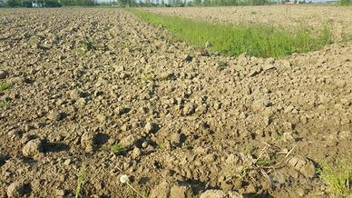 Terreno a Portogruaro (VE)