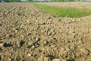 Terreno a Portogruaro (VE)