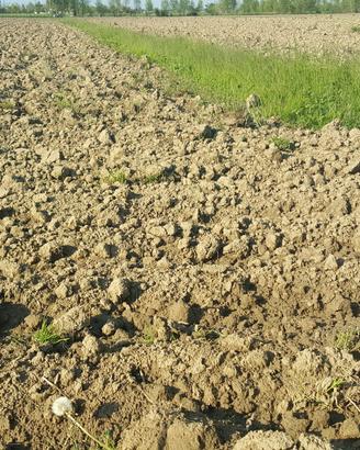 Terreno a Portogruaro (VE)