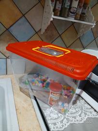 Vaschetta grande per pesci