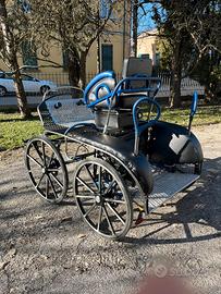 Carrozza marathon " tiger"