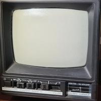 Tv portatile