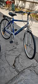 Bici uomo