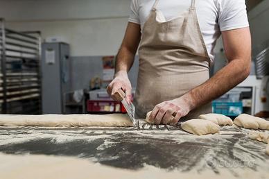 laboratorio panificio/biscottificio  con forno 