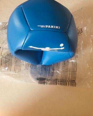 Pallone da calcio Panini