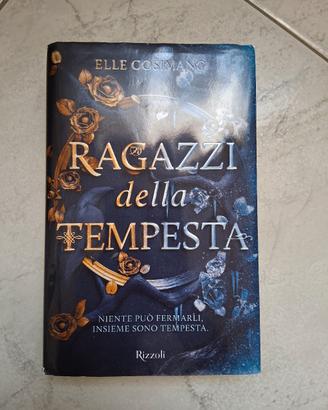 Ragazzi della tempesta libro