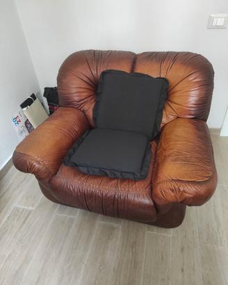 Poltrone in pelle 