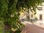 Immagine 15