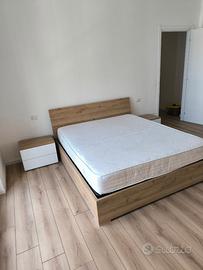 Camera singola in appartamento consiviso