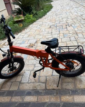 Bicicletta elettrica