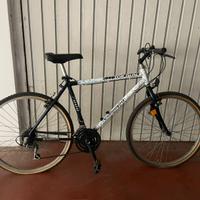 Mountain bike da uomo