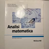 Analisi Matematica Bertsch