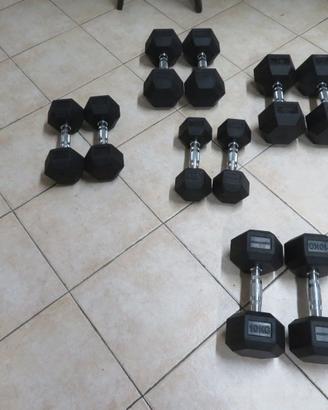Manubri PESI esagonali da palestra