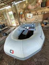 Gommone tre metri con motore Mercury 2.5 cv