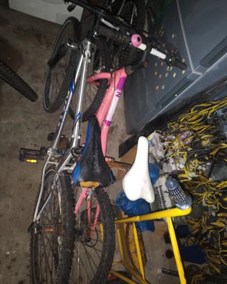bicicletta 
