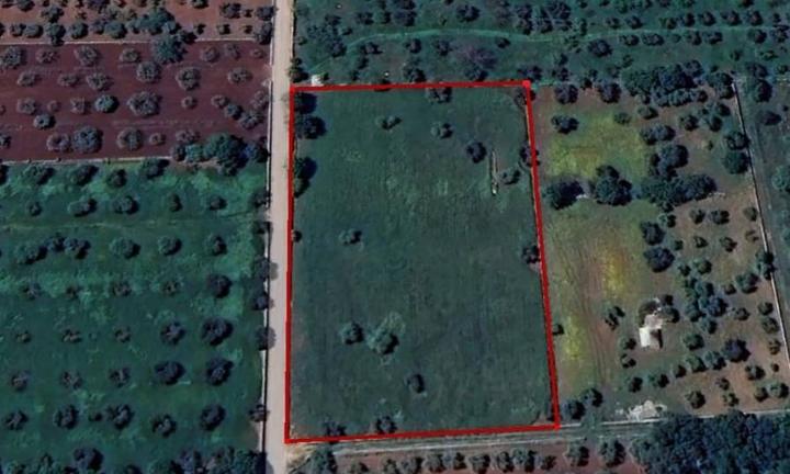 Terreno agricolo a Alberobello